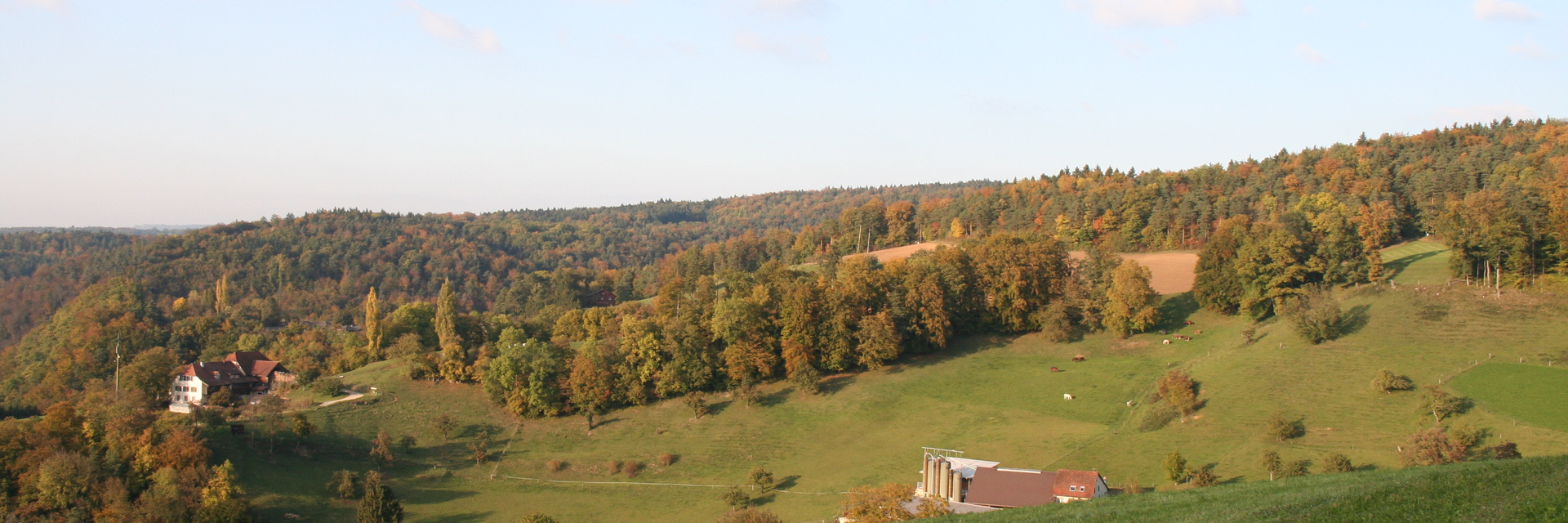 IMG_1083 IMG_1083