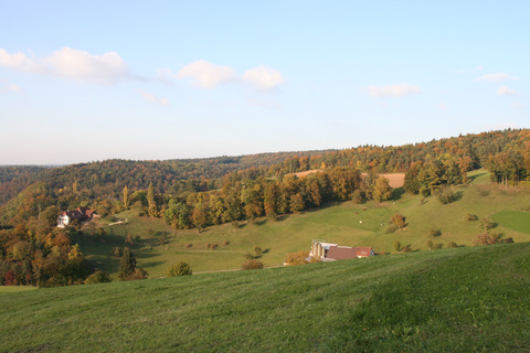 IMG_1083 IMG_1083